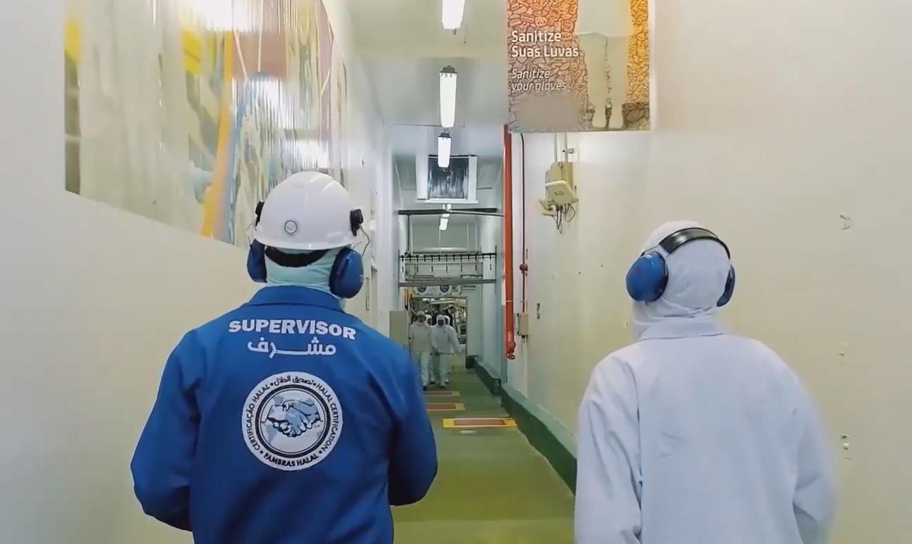 Ritual que vale milhões: MT amplia venda de carne bovina halal para países muçulmanos